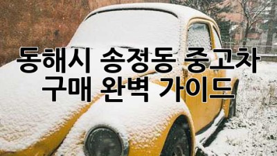 동해시 송정동 중고차 구매 완벽 가이드!