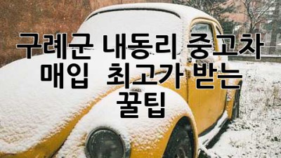 구례군 내동리 중고차 매입? 🚗💨 최고가 받는 꿀팁!